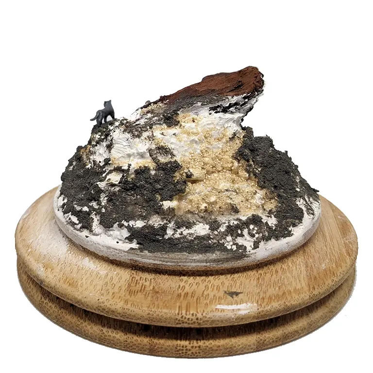 The cat critter surveys the valley